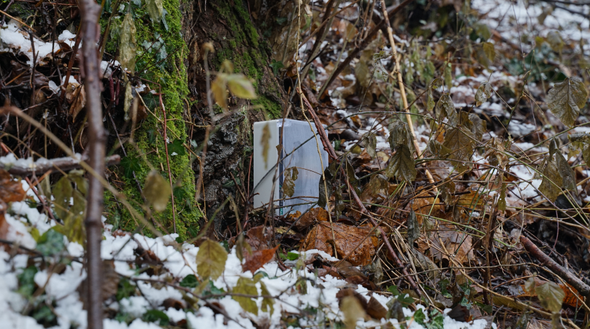 Hula Earth BioT in Snow in Forest